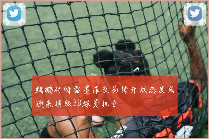 鹈鹕对特雷墨菲交易持开放态度或迎来顶级3D球员机会